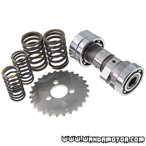 Lifan 140 camshaft bundle